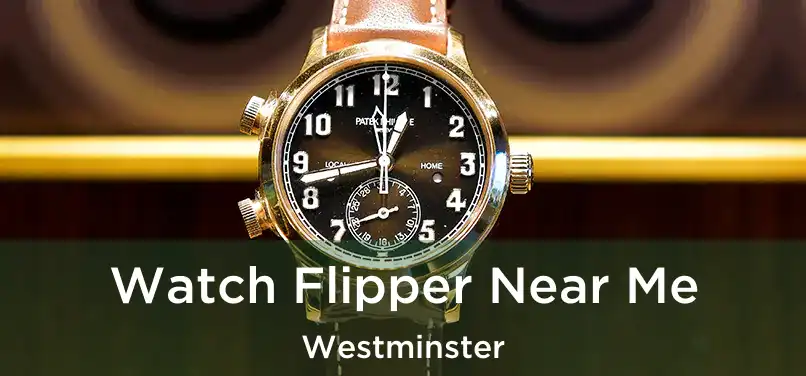 Watch Flipper Near Me Westminster